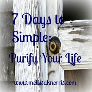 New FREE ebook for subscribers to my newsletter!