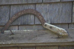 sickle
