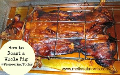 Roastwholepig
