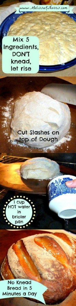 No Knead 5 Ingredient Bread in 5 minutes a day. Costs $.30 a loaf. @MelissaKNorris