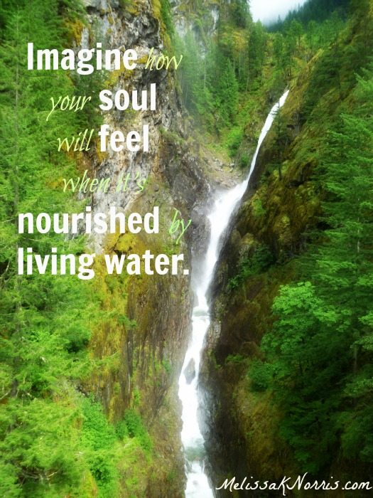 Discover the living water for yourself. www.melissaknorris.com