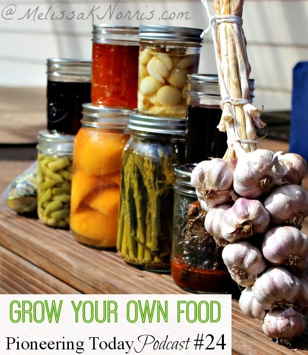 Podcast 24 10 Easy Tips To Grow Your Own Food Melissa K Norris