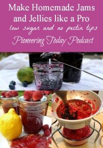 Podcast on making homemade jams and jellies like a pro. Love the tips for using low sugar or honey and how to avoid using store bough pectin. Love the test for making sure your jam will set once cooled. And knowing which berries to add acid too for shelf stable, priceless!