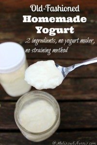 Want an easy and healthy yogurt with more live cultures than the store? This old-fashioned homemade yogurt only uses 2 ingredients, no yogurt maker required, and no straining method for thick creamy yogurt. Best part, it's less than half of the cost of store bought yogurt with more live cultures! Read now and never purchase store bought yogurt again.