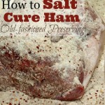Tired of store bought meat? Learn how to salt cure a ham with old-fashioned preserving skills.