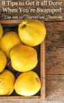 Learn how to get it all done with these 8 tips when you're swamped with harvesting and preserving. From a full time homesteader and working outside the home mom. Love these tips, really they apple to all areas of life, but especially during the harvest and preserving time.