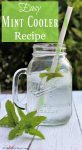 Make this easy 2 ingredient mint water recipe