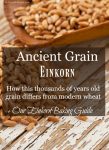 Einkorn Baking Guide