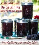 Easy blackberry jam no sugar recipe