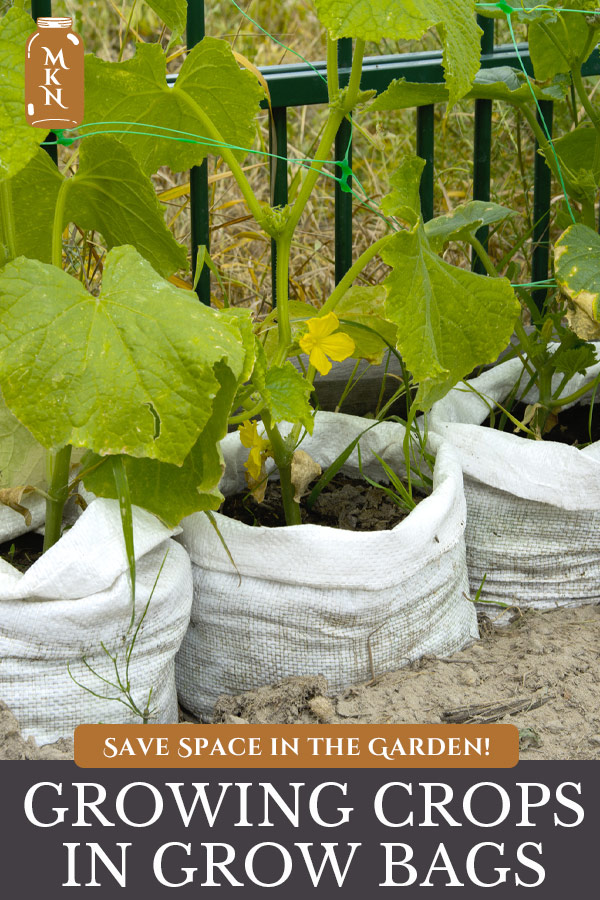 Using Vegetable Grow Bags In The Garden Melissa K Norris