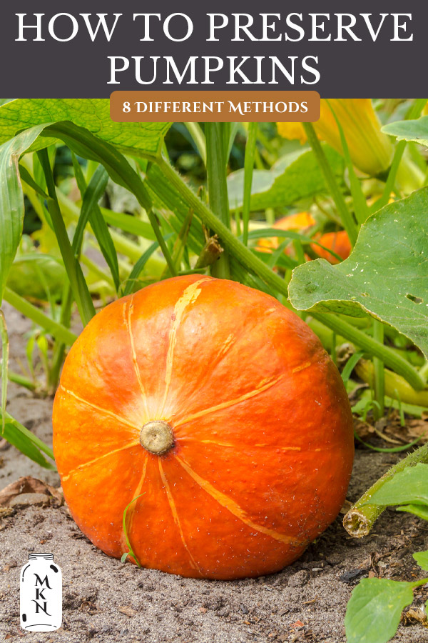 Ways To Preserve Pumpkin At Home The Only Safe Canning Method