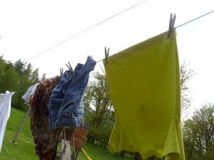 Pioneering Today-5 Reasons to Use a Clothesline - Melissa K. Norris