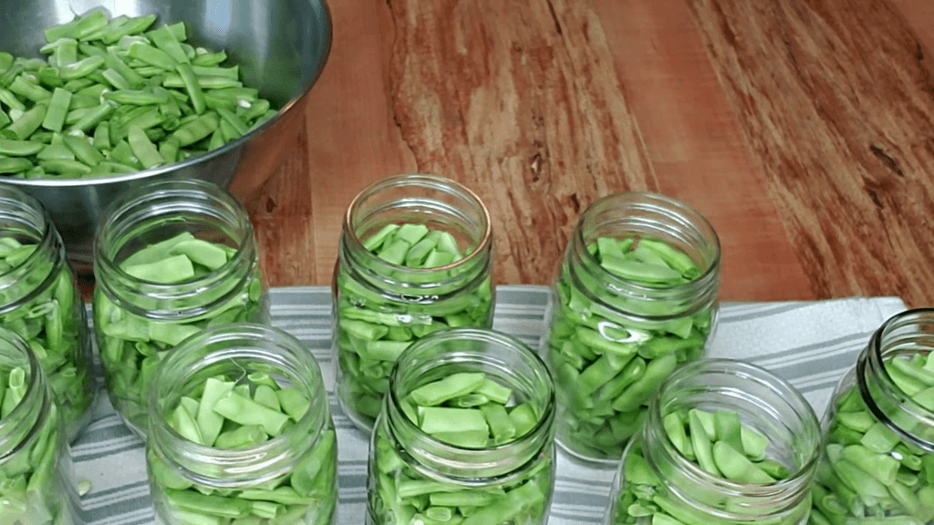 green beans inside mason jars before canning