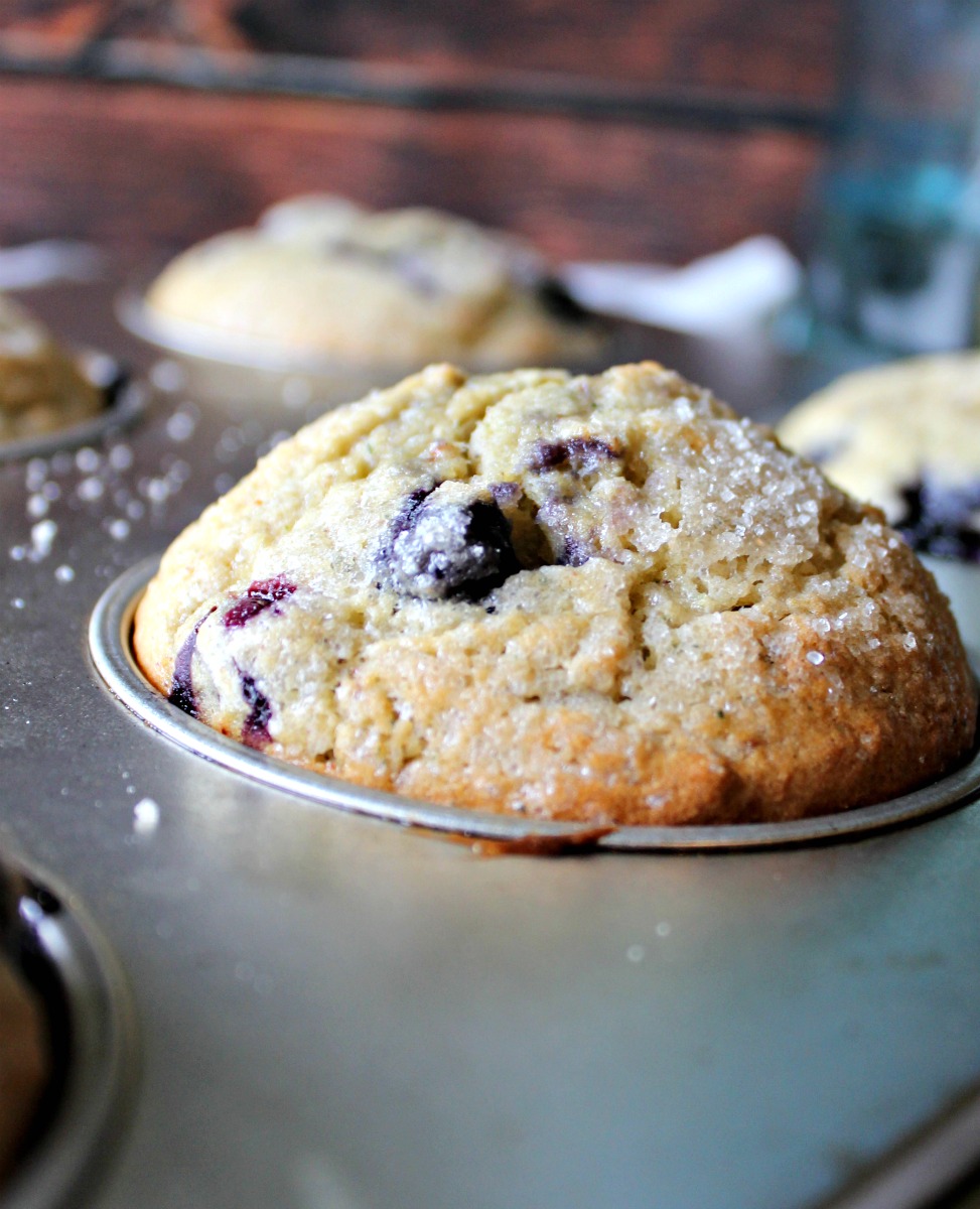 Popular blueberry zucchini muffin recipe. These are so good and you can't even tell they have zucchini in them, a healthy twist but so good we eat them for dessert as well as breakfast! 