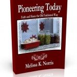 Pioneering Today by Melissa K. Norris