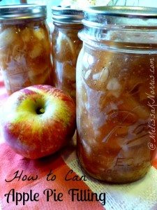 How to Can Apple Pie Filling 2 recipes using waterbath or pressure canner www.melisaknorris.com Pioneering Today
