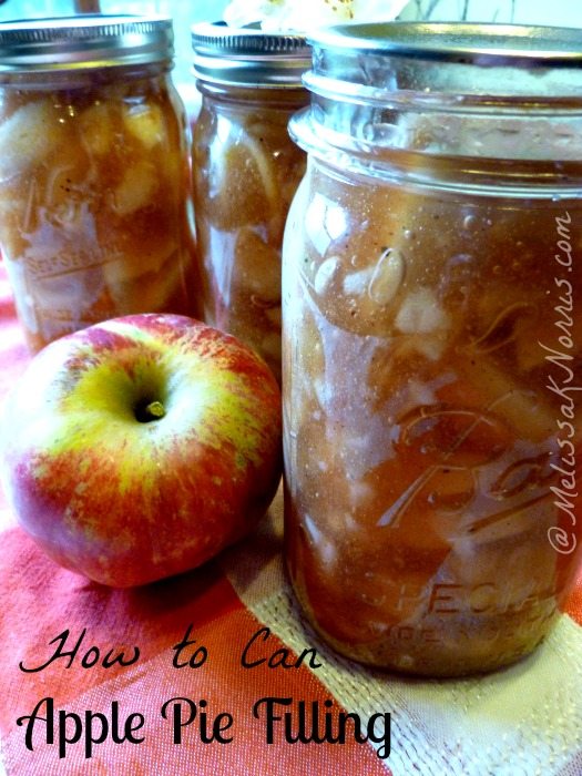 How Can Apple Pie Filling Recipe