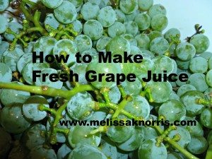 How to Make Grape Juice {the Easiest Way!} - The Seasoned Mom
