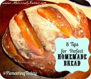 8 Tips for Baking Perfect Homemade Bread @MelissaKNorris #Pioneering Today