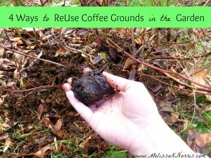 4 Tips to ReUse Coffee Grounds in the Garden @MelissaKNorris