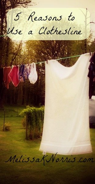 5 Reasons to Use a Clothesline @MelissaKNorris #PioneeringToday