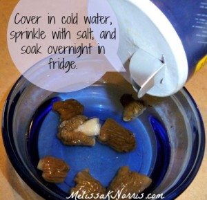 Soak morels overnight in salt water @MelissaKNorris