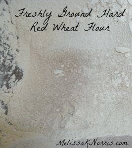 Freshly ground hard wheat flour www.melissaknorris.com