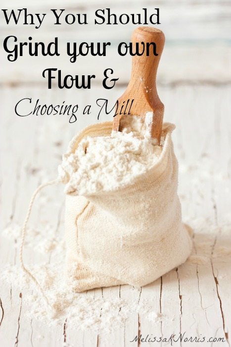 How to Choose the Best Grain Mill to grind your own flour at home
