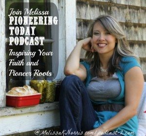 Pioneering Today Podcast www.melissaknorris.com