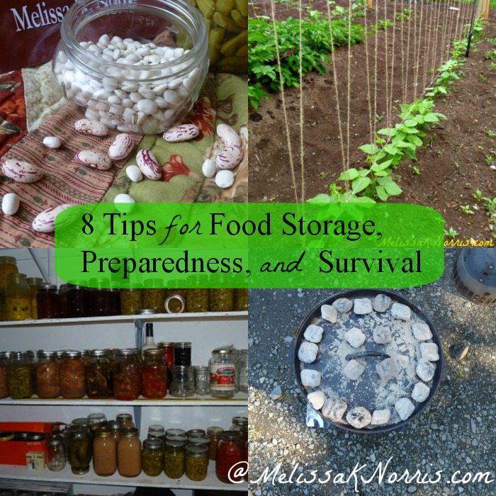 8 Tips for Food Storage, Preparedness, and Survival www.melissaknorris.com Pioneering Today