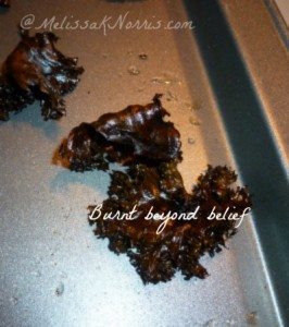 Burnt Beyond Belief Kale Chips