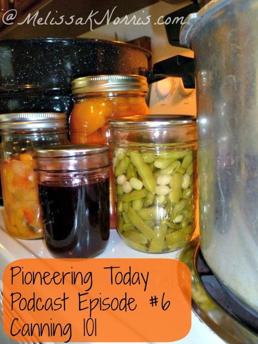 Canning 101: The Basics of Canning and Preserving Food