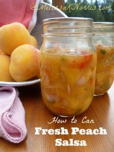 How to can fresh peach salsa www.melissaknorris.com Pioneering Today