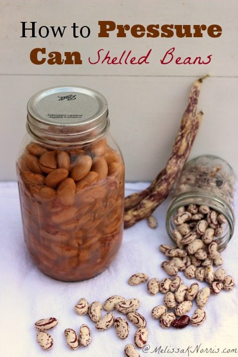 How to pressure can shelled beans using the raw pack method. I love how fast these can become a meal and I don't have to worry about soaking them when I realize dinner is like 20 minutes out. Get these in your food storage now, perfect when water and time is scarce.