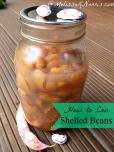 How to can shelled beans www.melissaknorris.com Pioneering Today