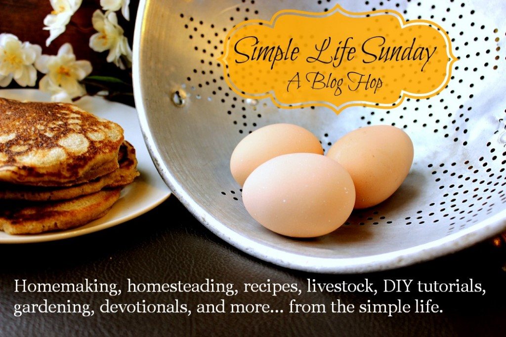 Simple Life Sundays A Blog Hop Tons of articles devoted to homemaking, homesteading, recipes, livestock, DIY, devotions, and all aspects of living the simple life www.MelissaKNorris.com