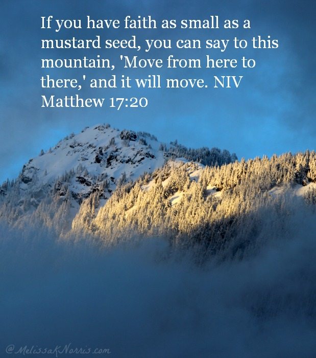 Do You Need Faith that Moves Mountains