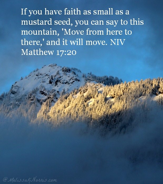 Do You Need Faith That Moves Mountains Melissa K Norris