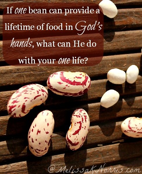 If God can take one bean and feed a nation, what can He do with your life if you let Him? 