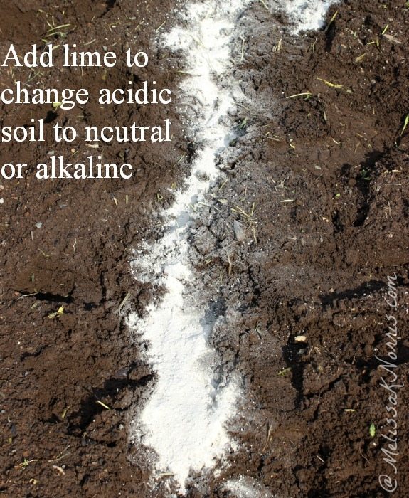 Change the ph level of your soil from acidic to alkaline with garden lime or wood ash