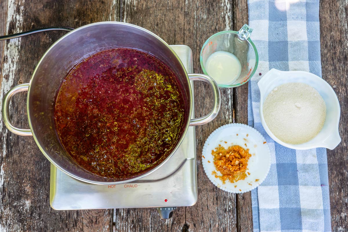 Blueberry jam ingredients.