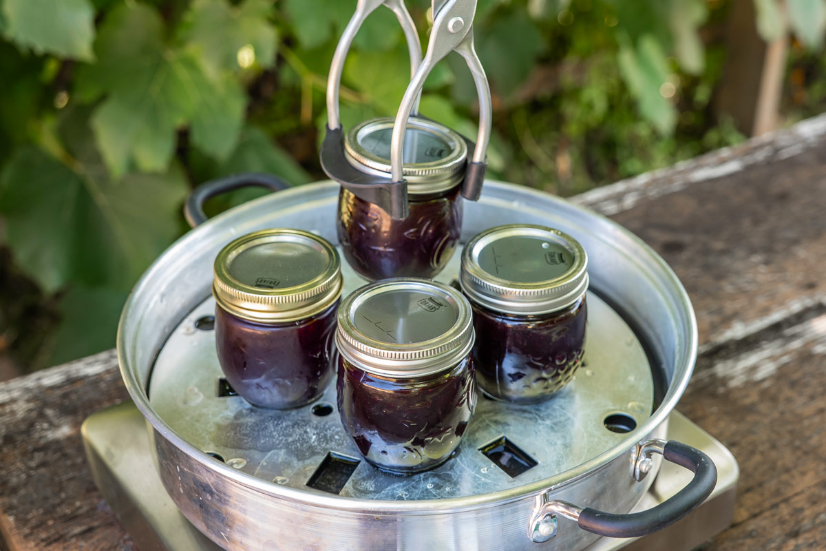 Jars of blueberry jam on a steam canner.