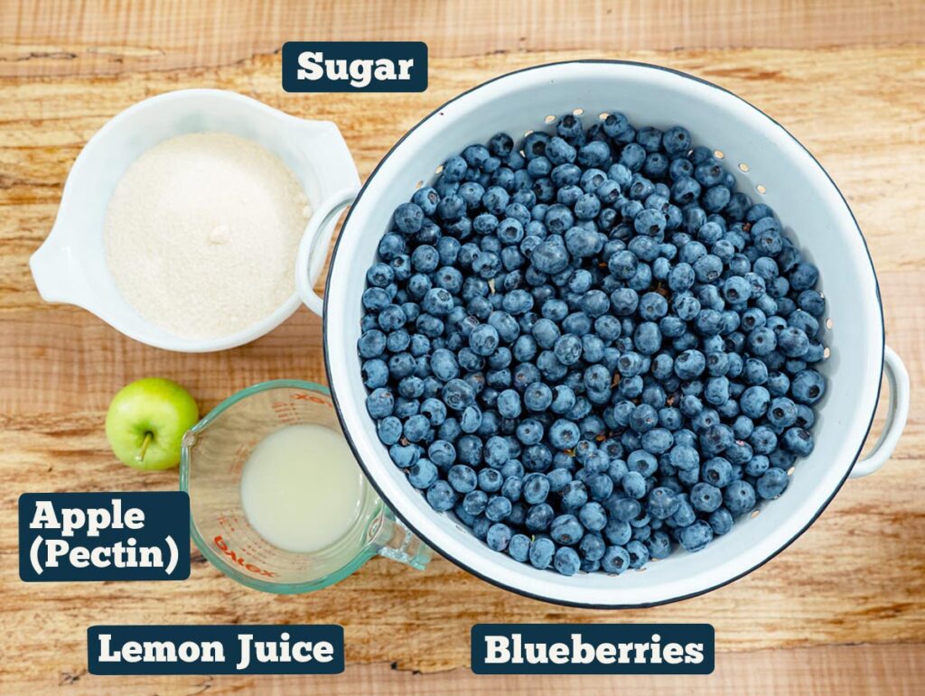 Blueberry jam ingredients.