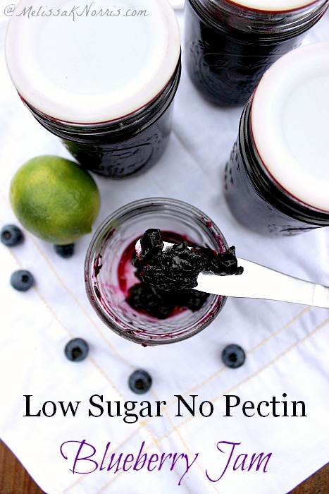 Low Sugar No Pectin Blueberry Jam