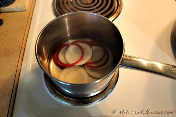 Re-Usable Tattler canning lids. Testing if they really work or not. Love the idea of reusing canning lids safely.