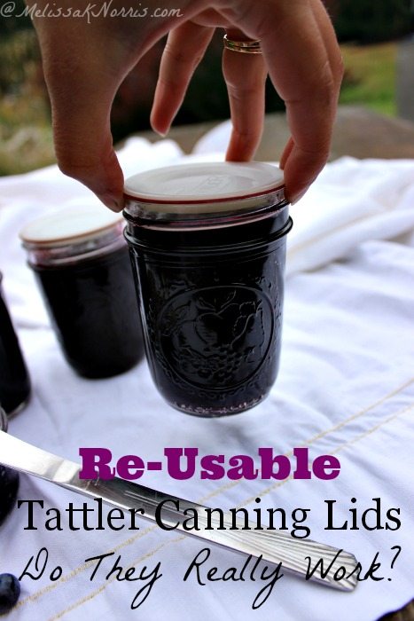 Testing the seal on re-usable Tattler canning lids. Do they really work or not? Loved this review and the idea of not buying new lids every time.
