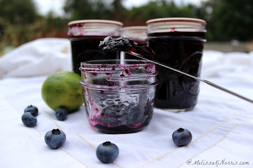 how to make low sugar no pectin blueberry jam. Oh, my goodness, this is the best jam ever! Love how it keeps cost down without the pectin and very little sugar.