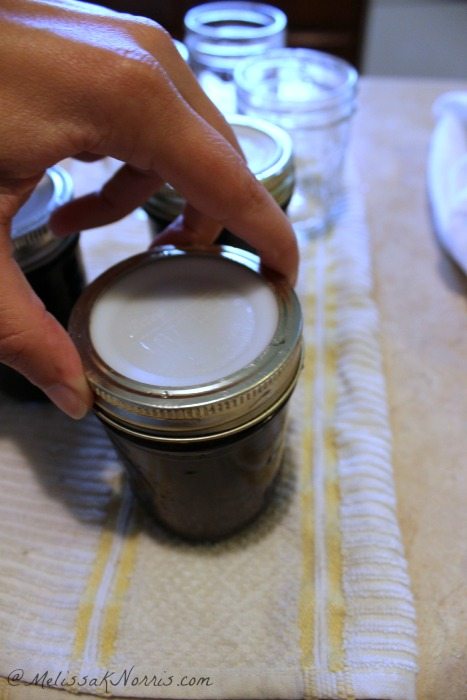 Re-usable Tattler canning lids. Do they really work? Love this review and breakdown on using them.