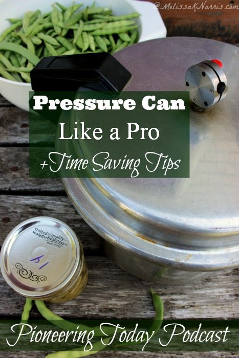 Learn how to pressure can like a pro with time saving tips! I need all the time saving tips I can get.