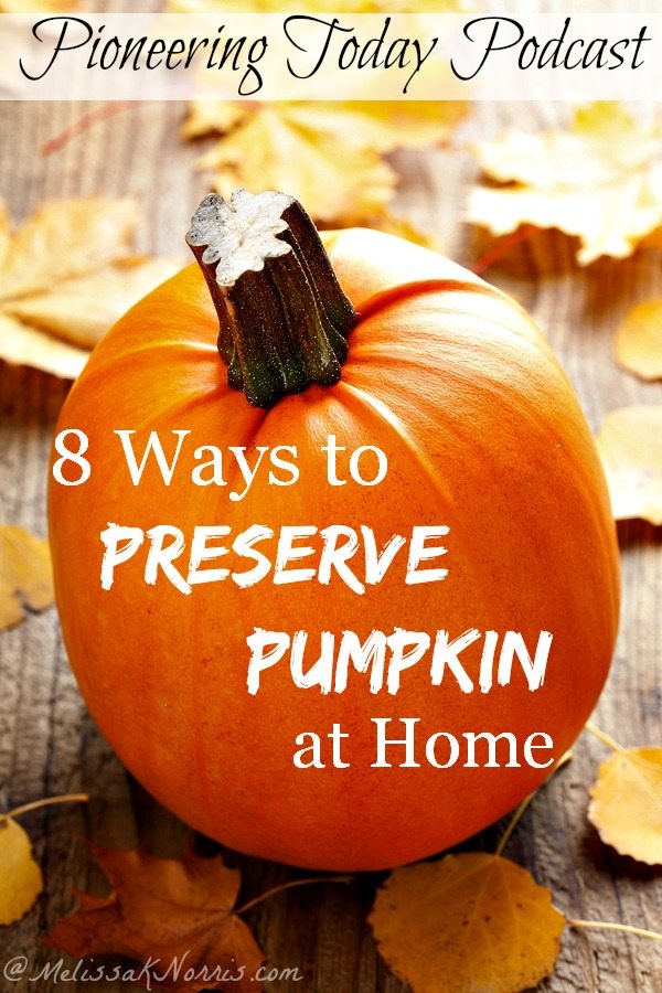 8-ways-to-preserve-pumpkin-at-home-melissa-k-norris